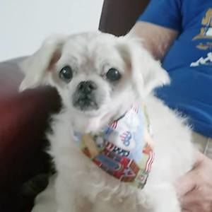 Meet your Posher, Marion